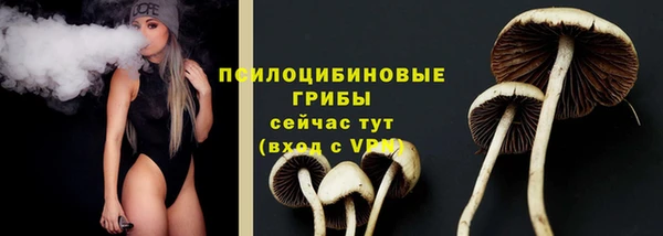 прущая мука Киреевск