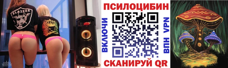 Купить закладки  Яранск  Псилоцибиновые грибы MAGIC MUSHROOMS 